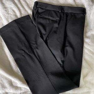 Express Dress Pants